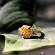 The Citrine Dreams | Ring